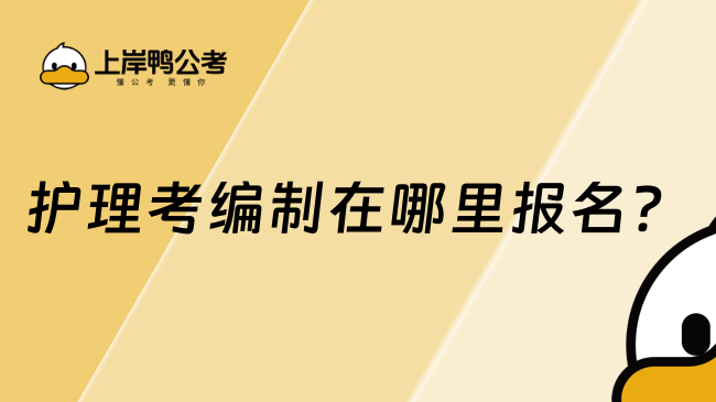 護理考編制在哪里報名？這幾個平臺
