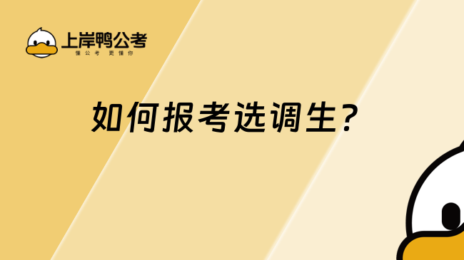 如何報考選調生？看本文就懂了