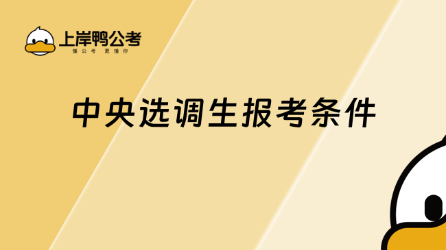 中央選調(diào)生2025年報(bào)考條件：硬性門檻與隱性篩選并存