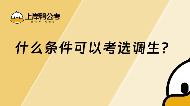 什么條件可以考選調(diào)生？
