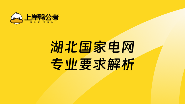 湖北國家電網專業要求解析與報考指南