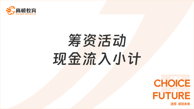 籌資活動(dòng)現(xiàn)金流入小計(jì)