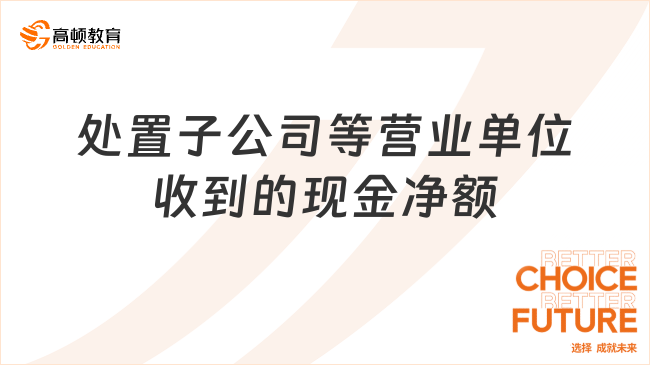 處置子公司及其他營業(yè)單位收到的現(xiàn)金凈額