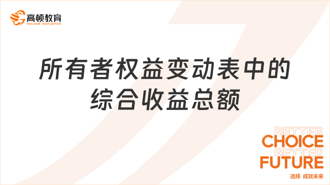 所有者權益變動表中的綜合收益總額