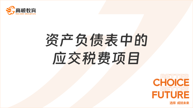 資產(chǎn)負(fù)債表中的應(yīng)交稅費(fèi)項(xiàng)目是指什么？