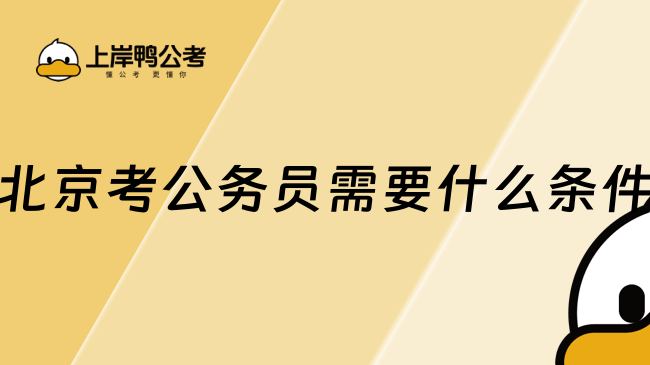 北京考公務(wù)員需要什么條件？2025年報(bào)考全指南