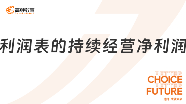 利潤表的持續(xù)經(jīng)營凈利潤是什么？