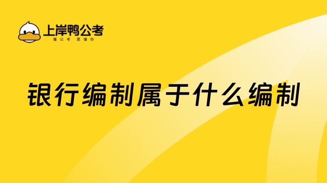 银行编制属于什么编制？全面解析银行编制类型
