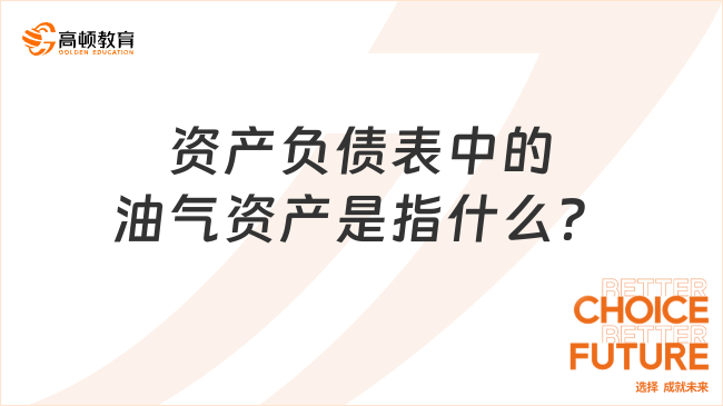 資產(chǎn)負(fù)債表中的油氣資產(chǎn)是指什么？