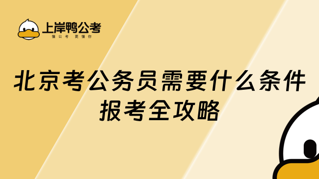 北京考公務(wù)員需要什么條件？25年報(bào)考全攻略