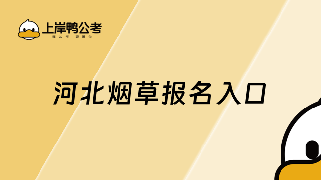 河北烟草报名入口