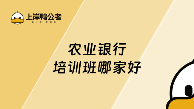 农业银行培训班哪家好