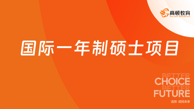 国际一年制硕士项目