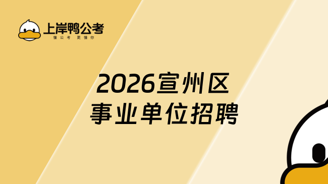 2026宣州区事业单位招聘