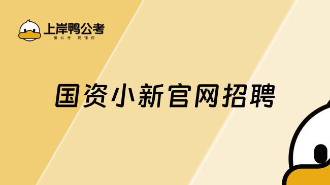 国资小新官网招聘