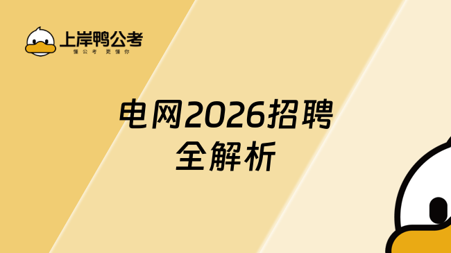 电网2026招聘全解析：助力应届生顺利上岸！
