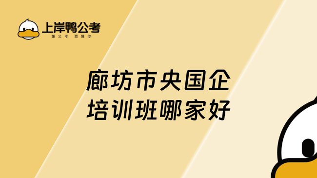 廊坊市央国企培训班哪家好
