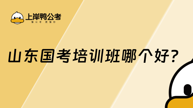 山东国考培训班哪个好？