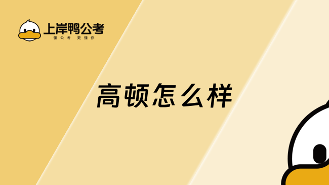 高顿怎么样