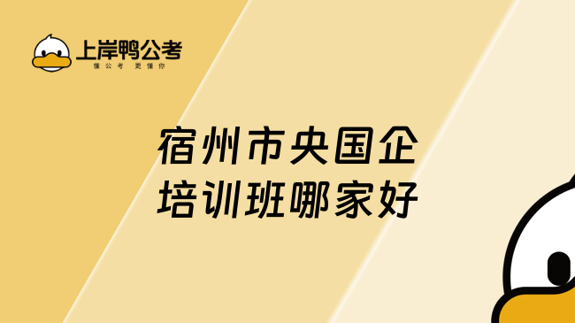 宿州市央国企培训班哪家好