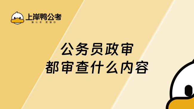 公务员政审都审查什么内容