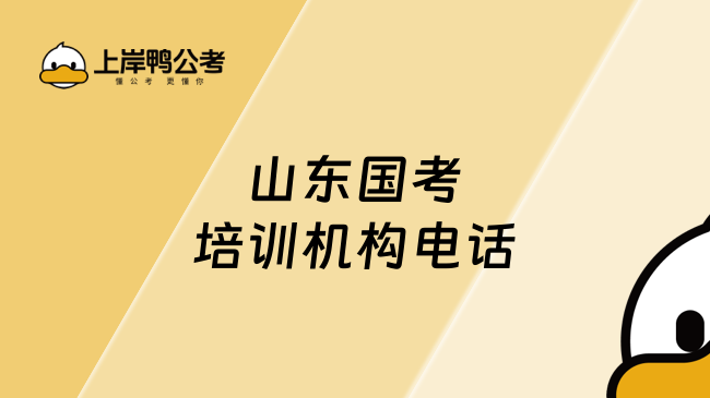 山东国考培训机构电话