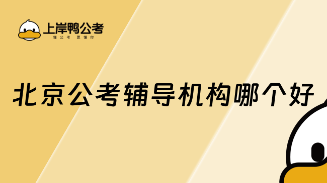 北京公考辅导机构哪个好