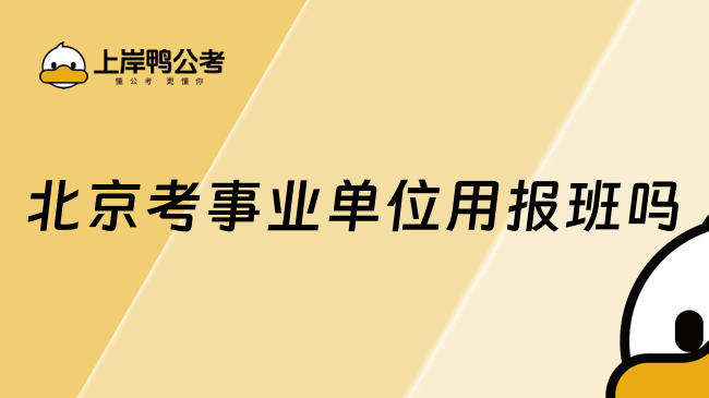 北京考事业单位用报班吗