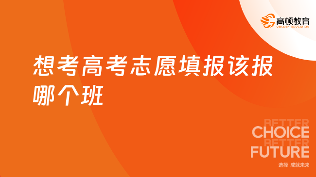 想考高考志愿填报报哪个班