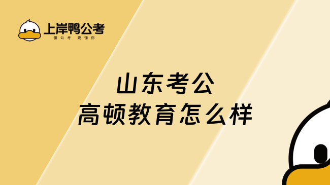 山东考公高顿教育怎么样