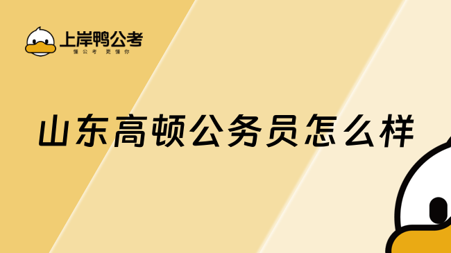 山东高顿公务员怎么样