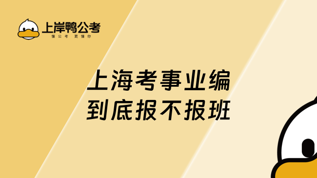 上海考事业编到底报不报班？看完你就知道了