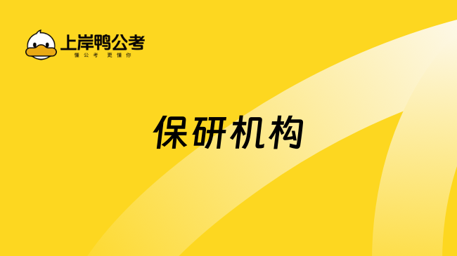 2026年5月保研机构推荐:“保·考·留”三轨并行,铺就名校上岸路