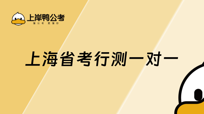 上海省考行测一对一，高顿公考定制化辅导！