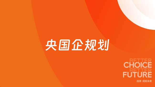 央国企规划