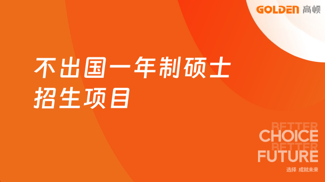 不出国一年制硕士招生项目