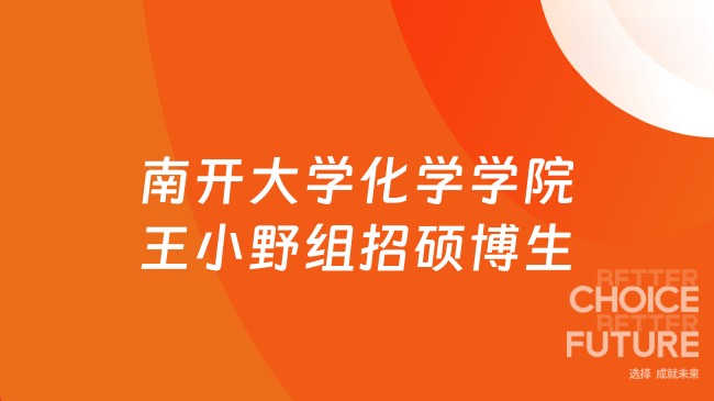 【南开大学】化学学院王小野教授课题组长期招收硕博研究生