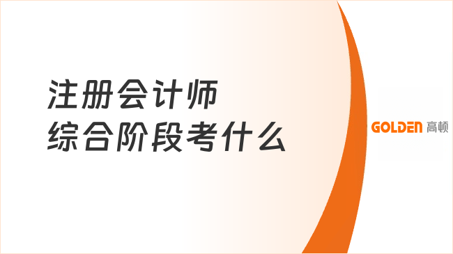 注册会计师综合阶段考什么