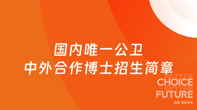 国内唯一公卫中外合作博士招生简章