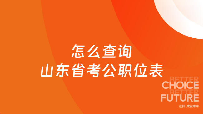 怎么查询山东省考公职位表