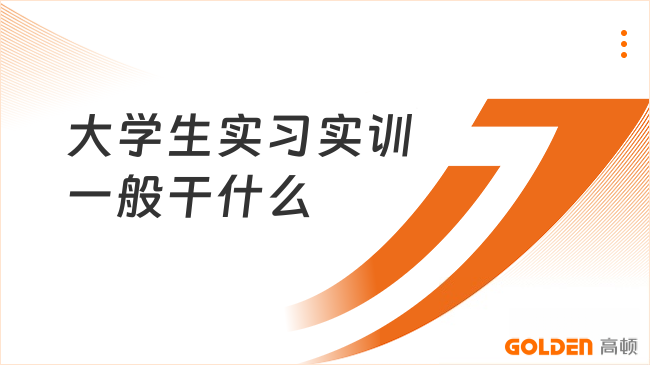 大学生实习实训一般干什么