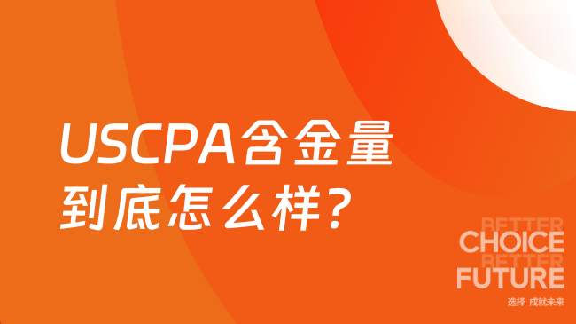 中国USCPA考试网