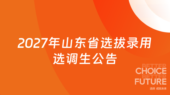 刚刚！2027年山东省选拔录用选调生公告发布